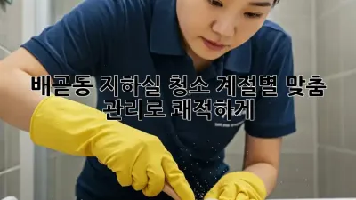 배곧동 지하실 청소🧹: 계절별 맞춤 관리로 쾌적하게! ✨
