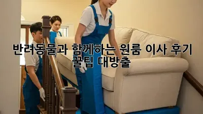 반려동물과 함께하는 원룸 이사 후기: 꿀팁 대방출!