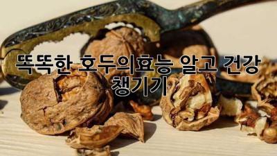 똑똑한 #호두의효능 알고 건강 챙기기! 🧠✨