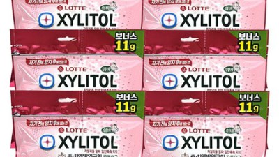 자이리톨알파 득템 후기! 나만의 꿀팁 대방출 ✨